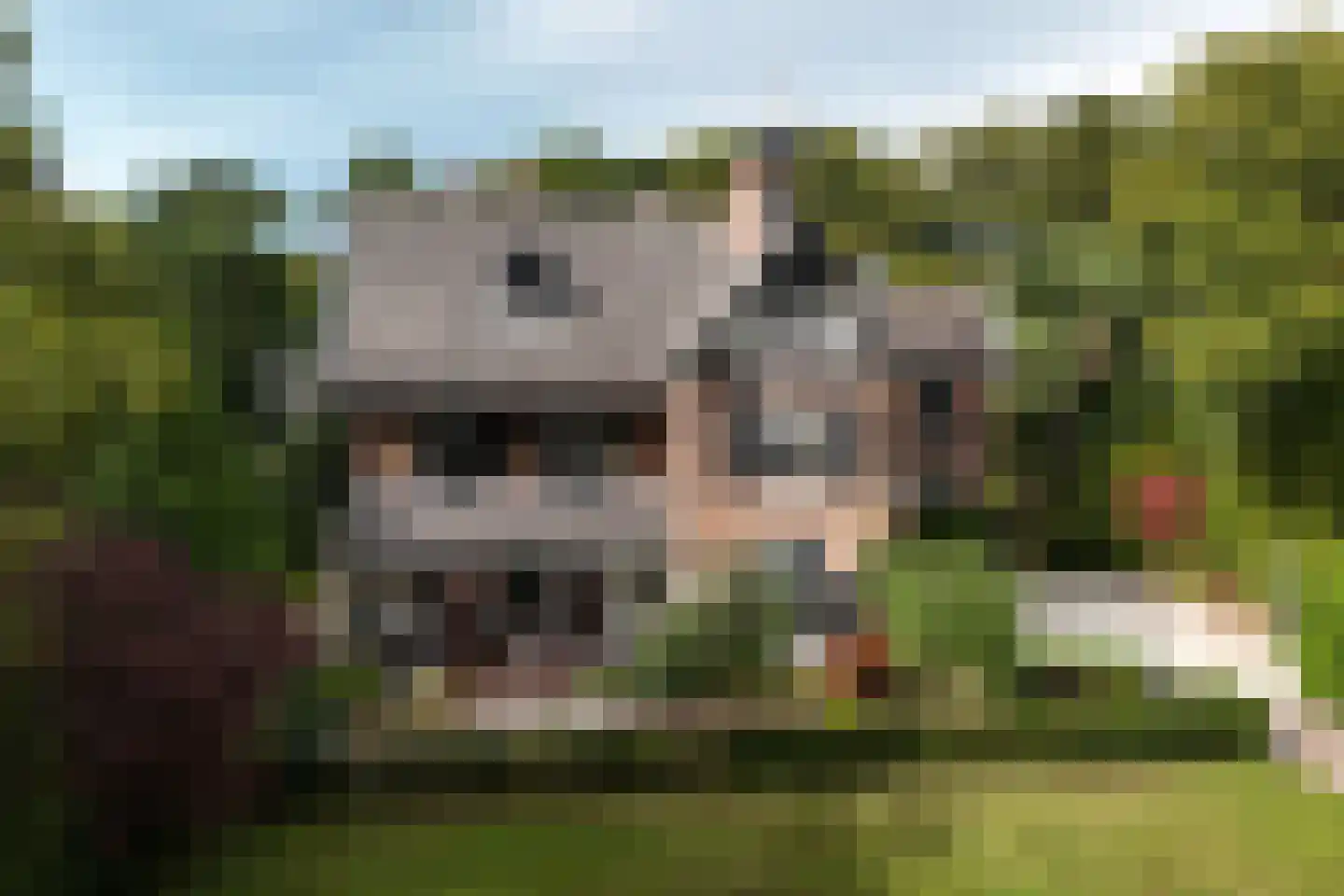 Parkweg 1 Bloemendaal thumbnail 34