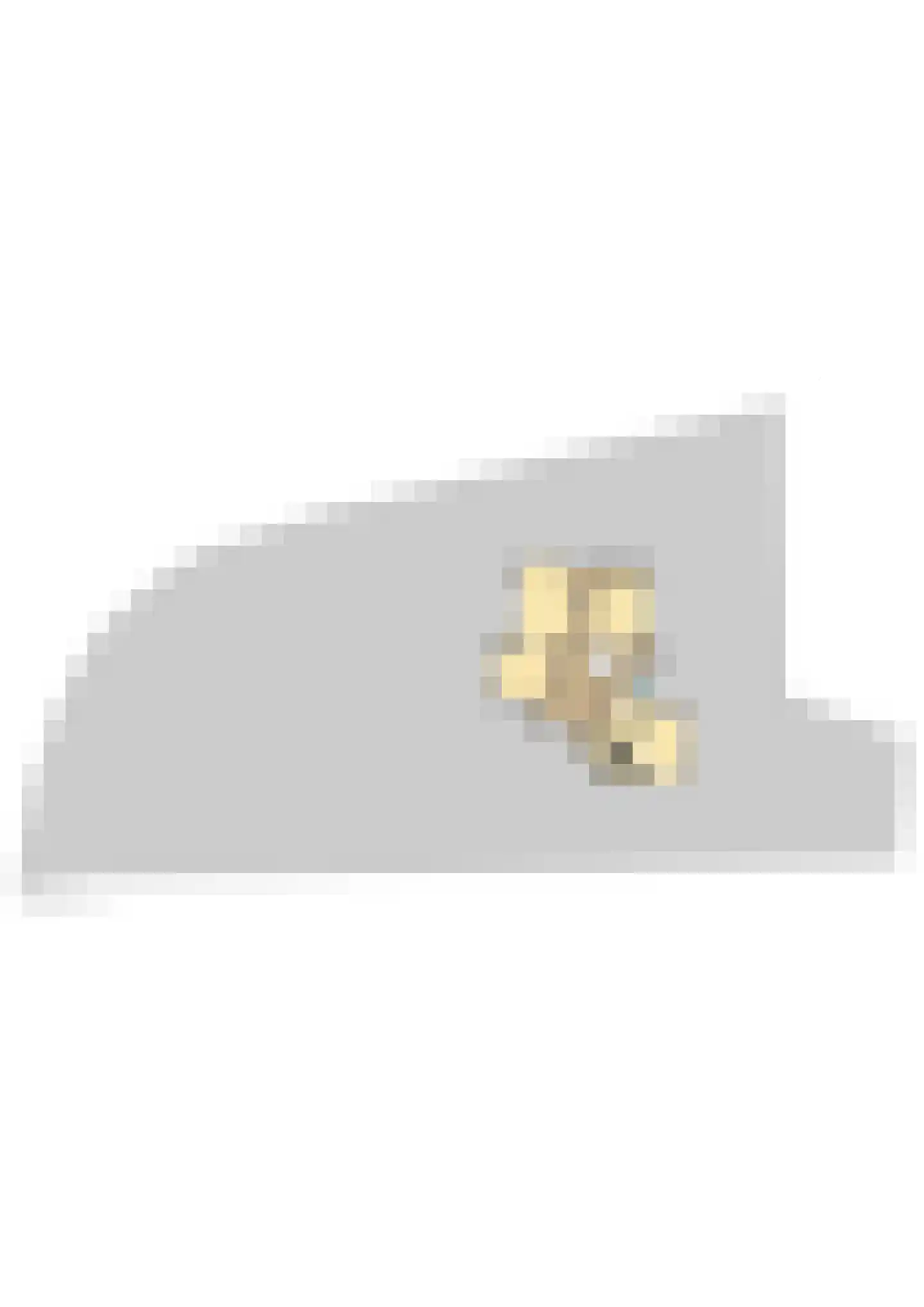 Parkweg 1 Bloemendaal thumbnail 38