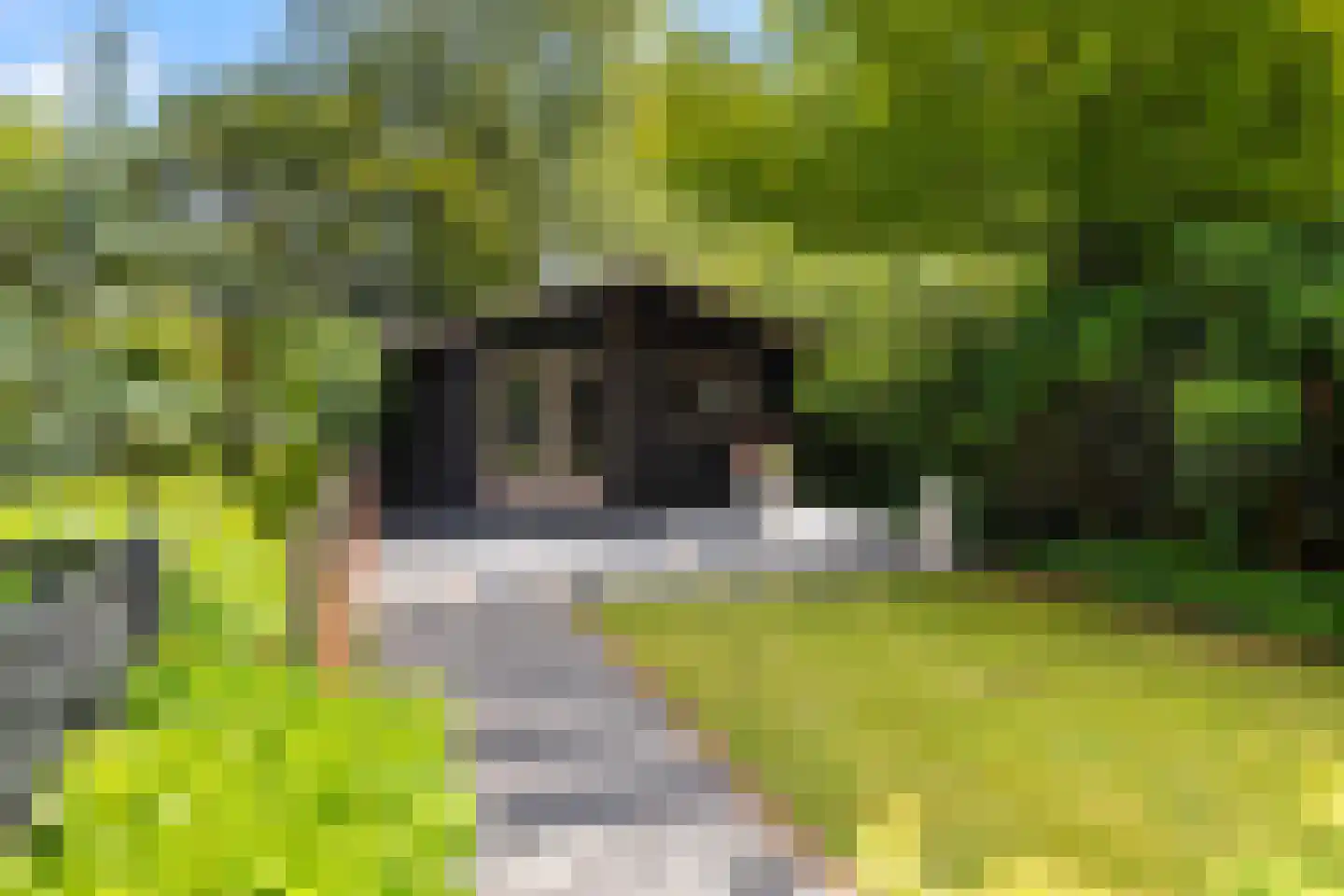 Parkweg 1 Hoenderloo thumbnail 38