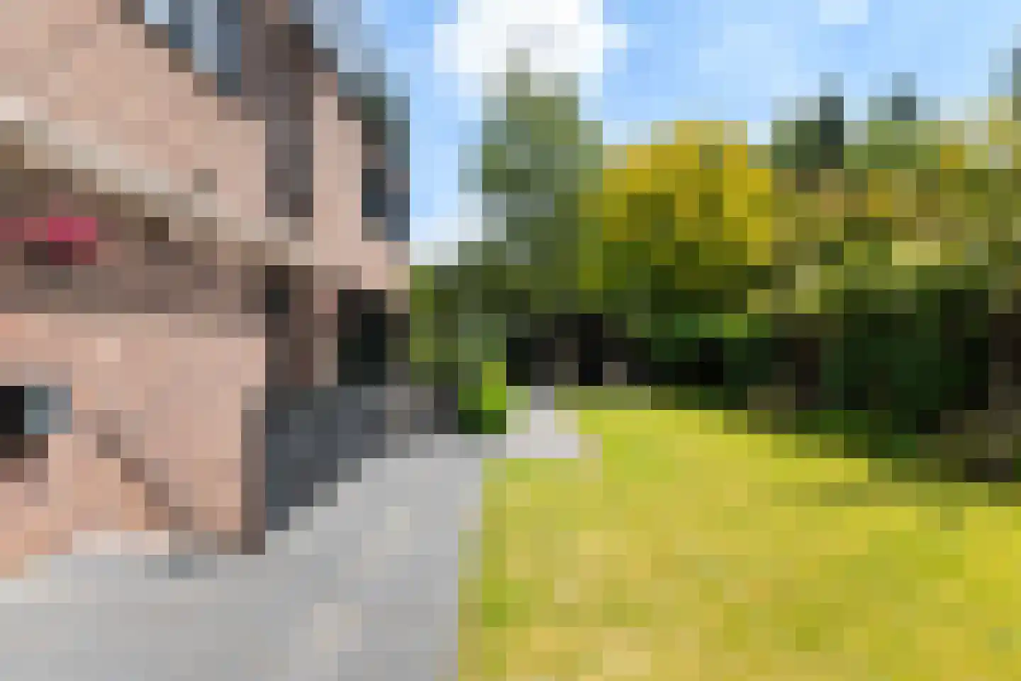 Parkweg 1 Hoenderloo thumbnail 41