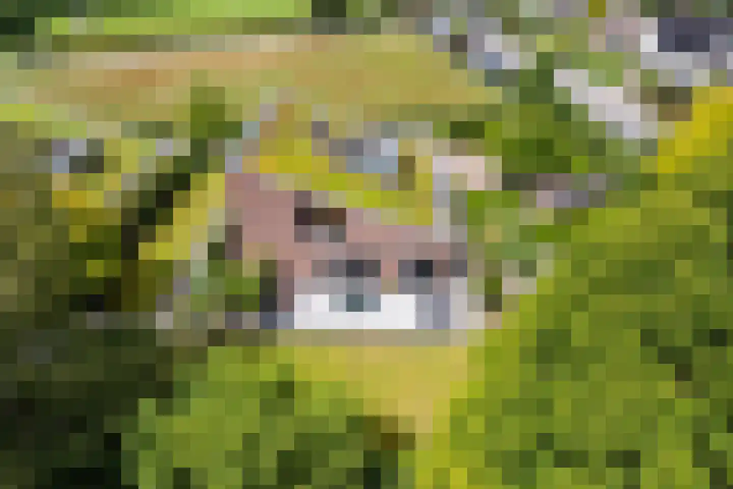 Parkweg 1 Hoenderloo thumbnail 54
