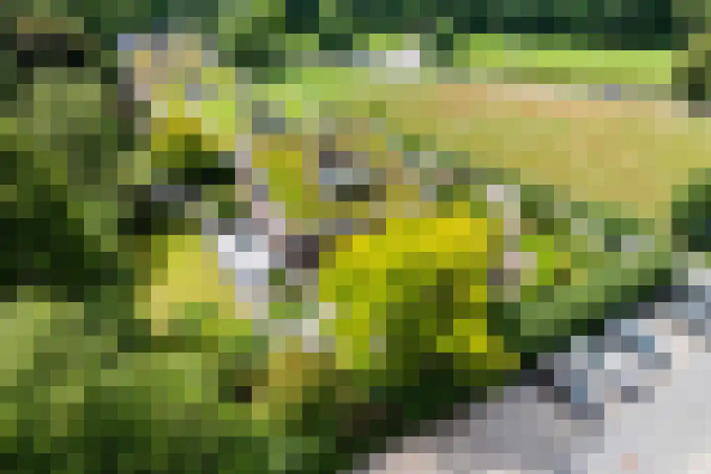 Parkweg 1 Hoenderloo thumbnail 55