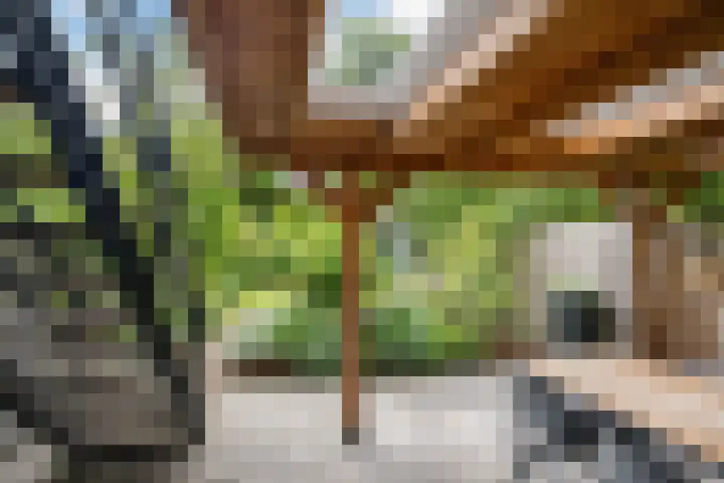 Parkweg 110 Vlaardingen thumbnail 20