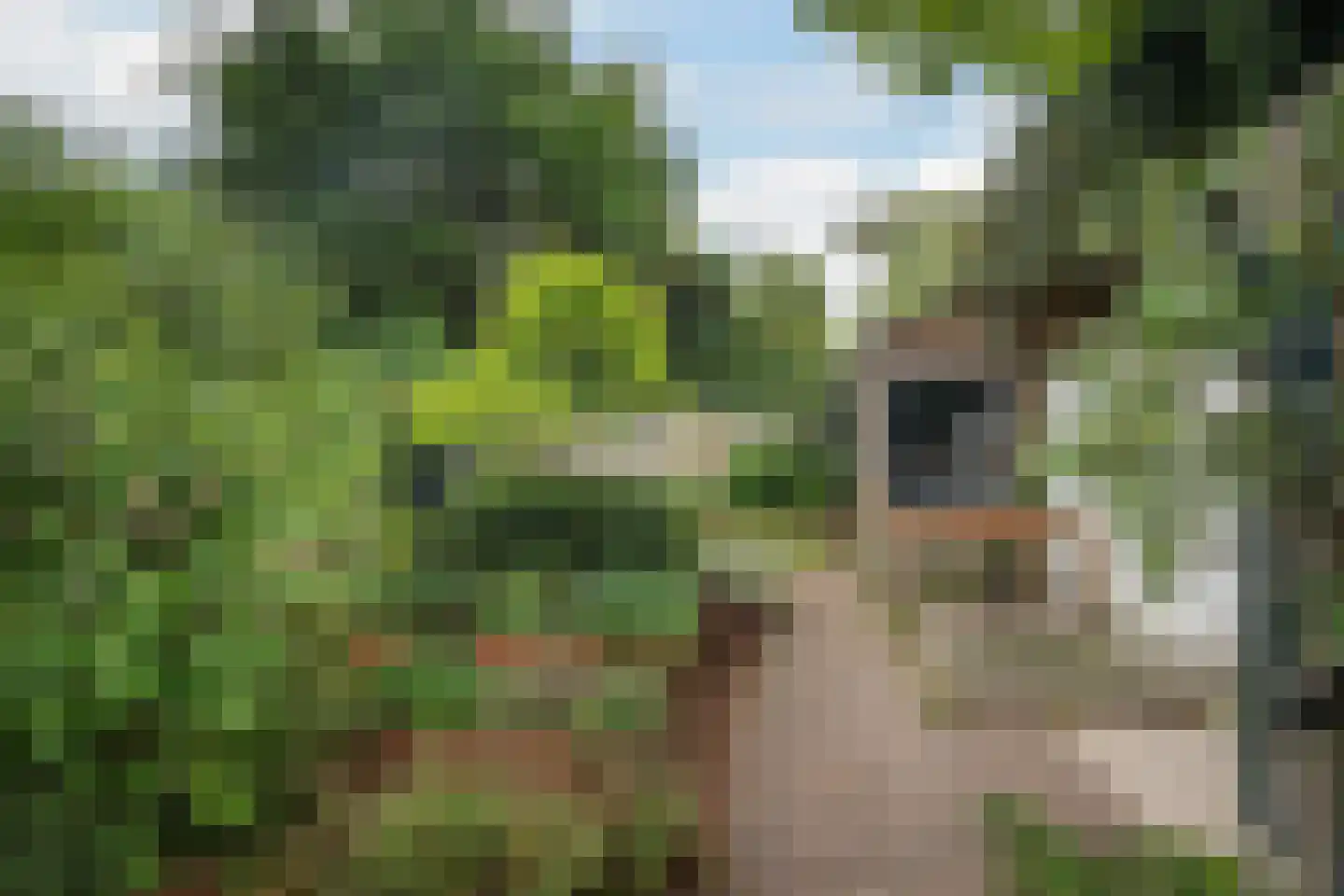 Parkweg 110 Vlaardingen thumbnail 22