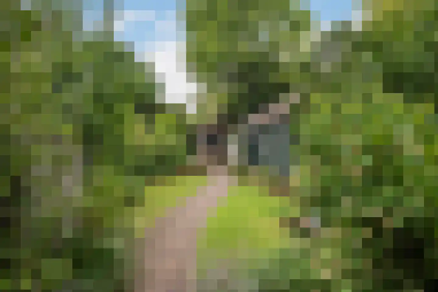 Parkweg 110 Vlaardingen thumbnail 5