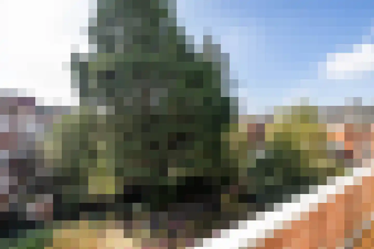 Parkweg 114 a Groningen thumbnail 37