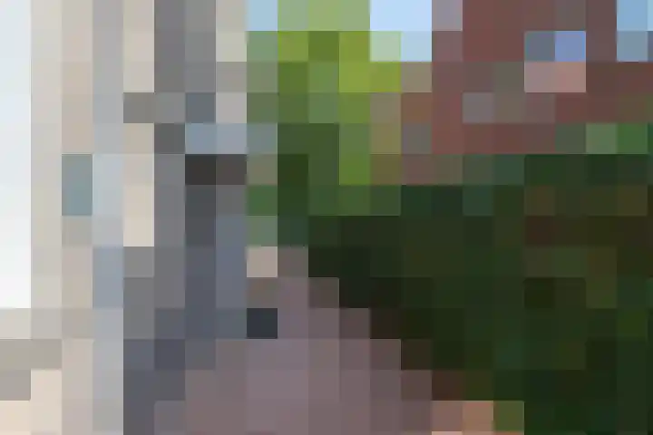 Parkweg 12 Zwolle thumbnail 38