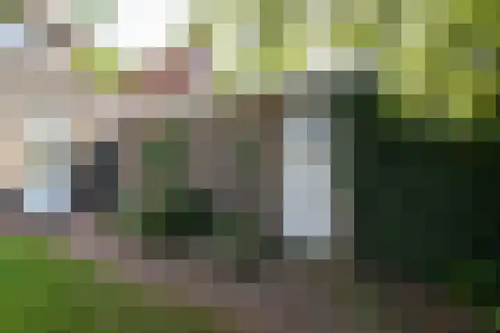 Parkweg 12 Zwolle thumbnail 41