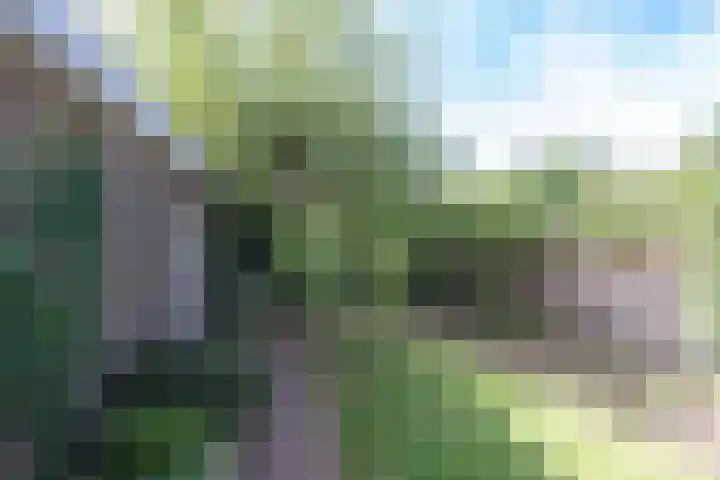 Parkweg 12 Zwolle thumbnail 42