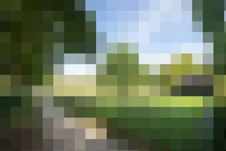 Parkweg 12 Zwolle thumbnail 47