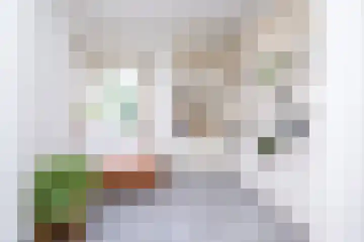Parkweg 12 Zwolle thumbnail 7