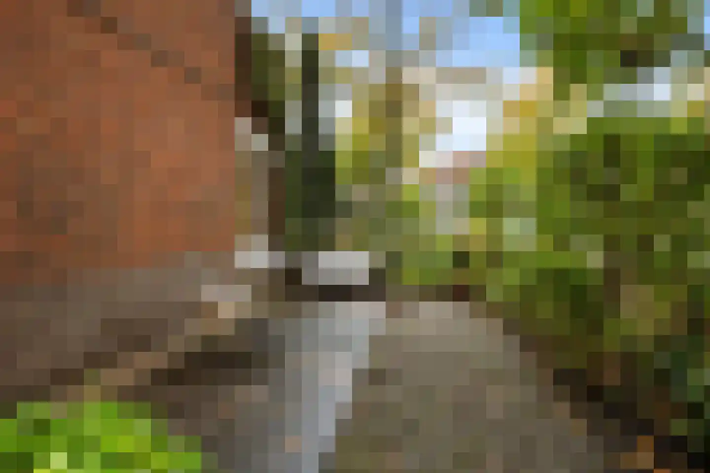 Parkweg 178 Voorburg thumbnail 16
