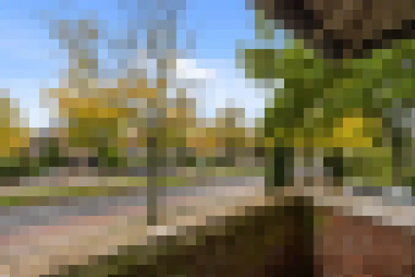 Parkweg 178 Voorburg thumbnail 20