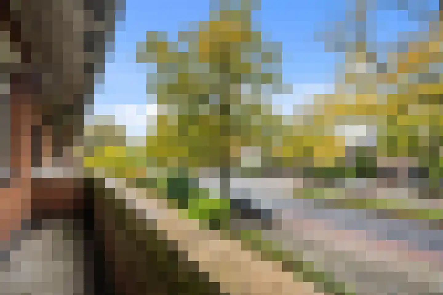 Parkweg 178 Voorburg thumbnail 21