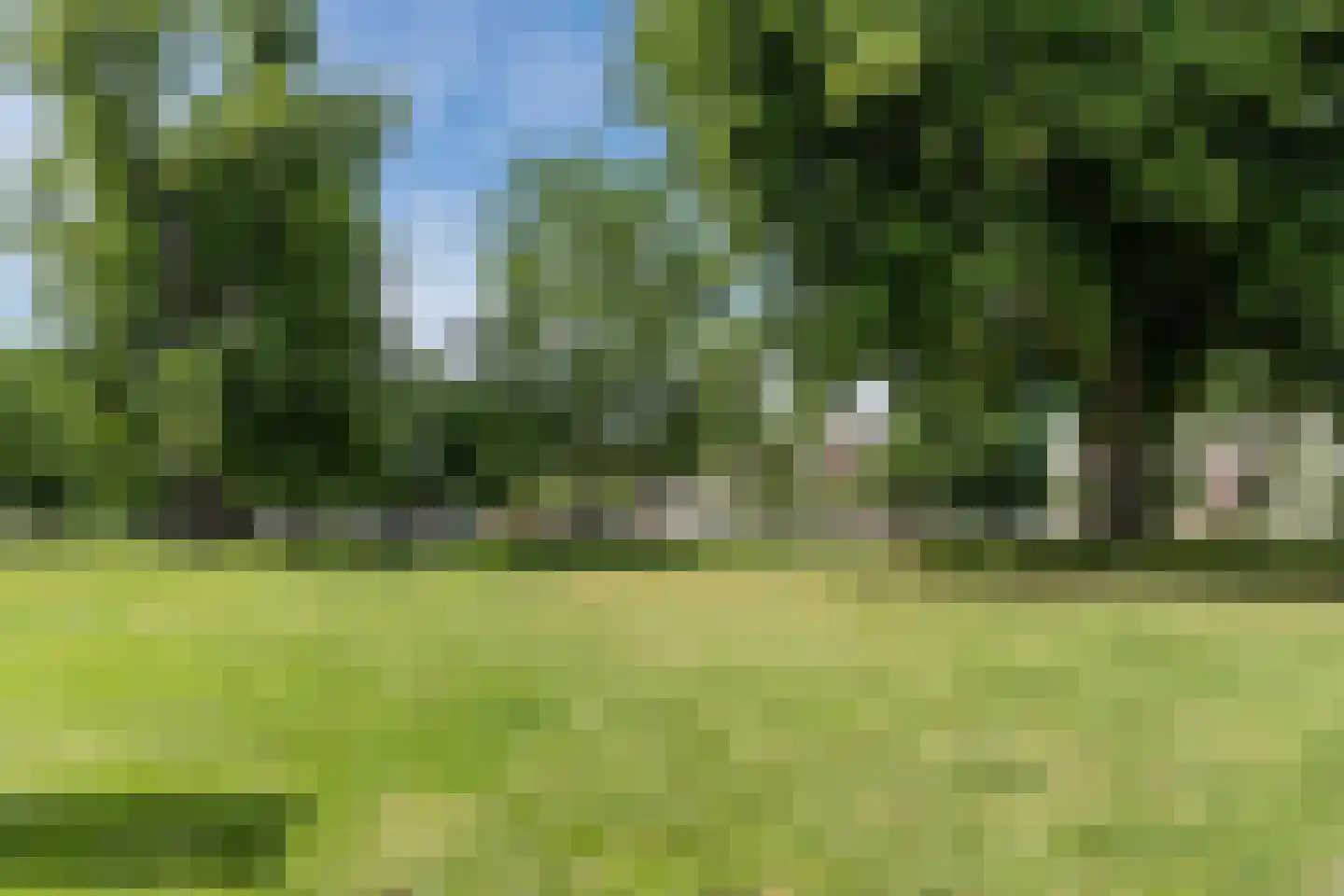 Parkweg 18 A Helmond thumbnail 26