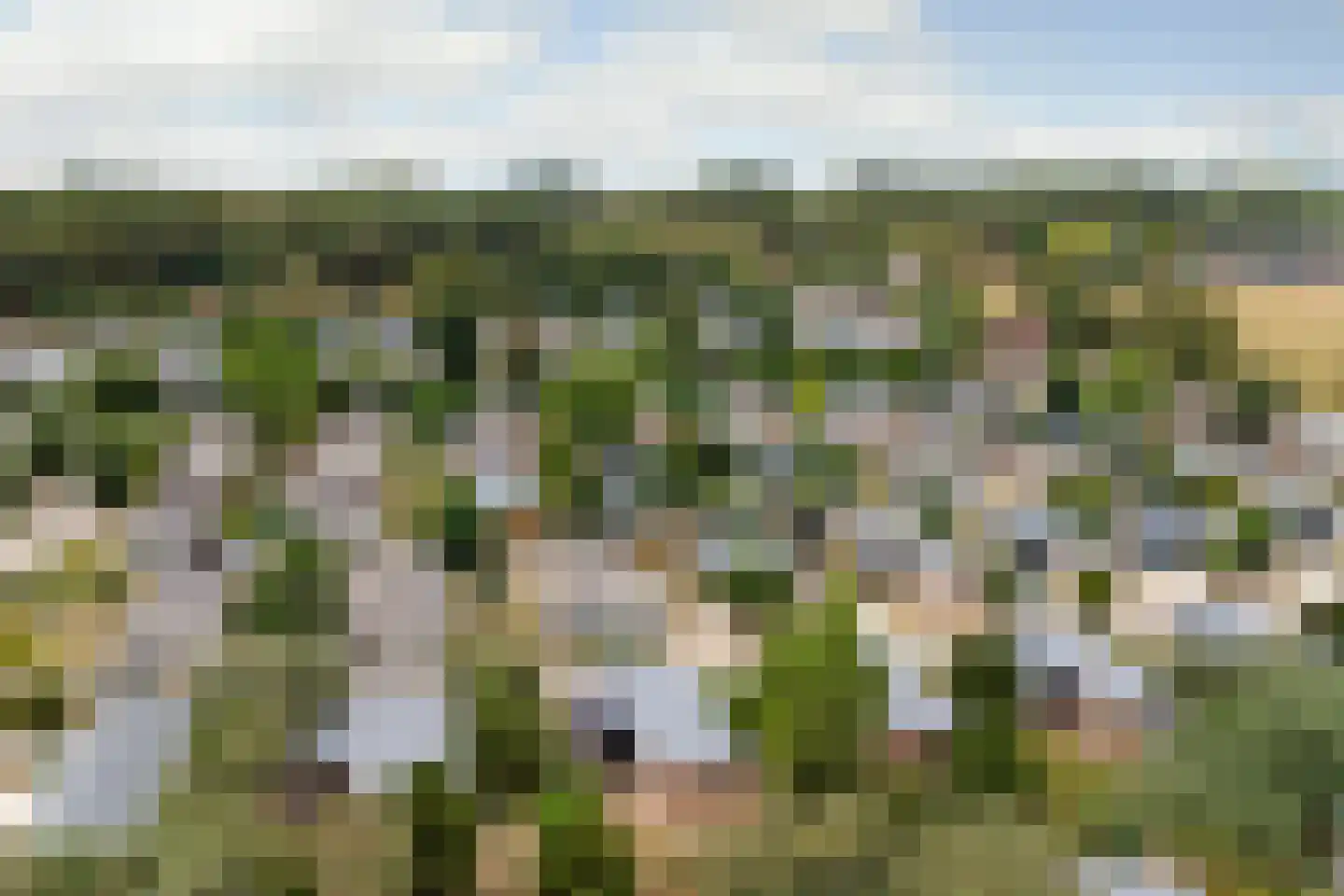 Parkweg 2 V215 Hellevoetsluis thumbnail 28