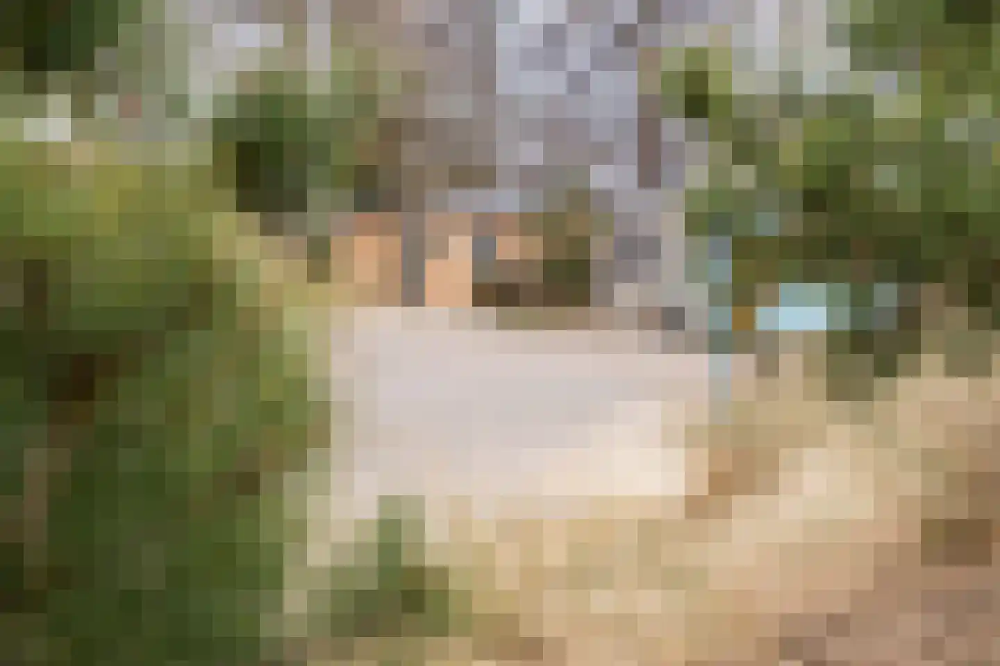 Parkweg 2 V340 Hellevoetsluis thumbnail 30