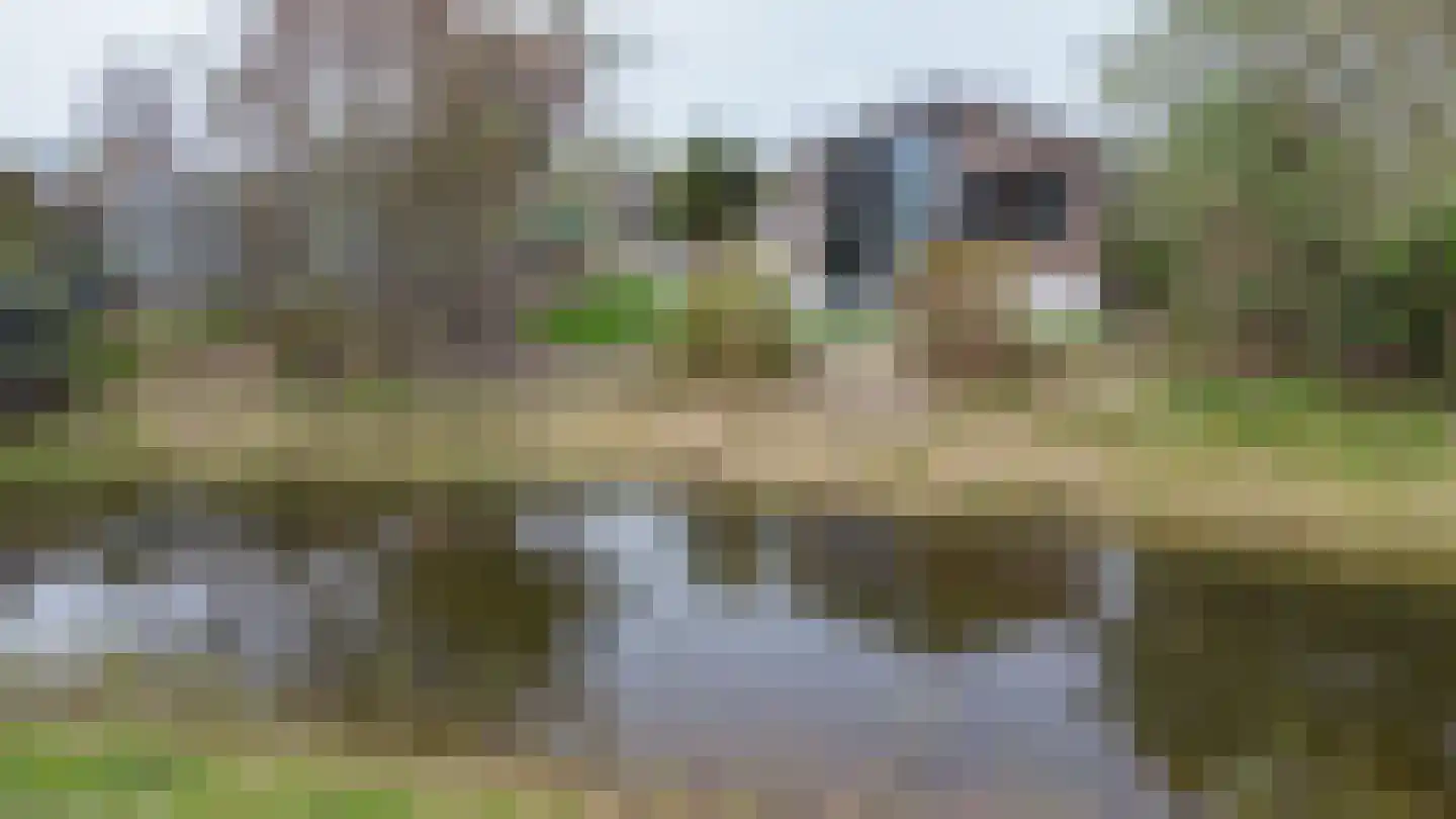 Parkweg 2 V626 Hellevoetsluis thumbnail 49