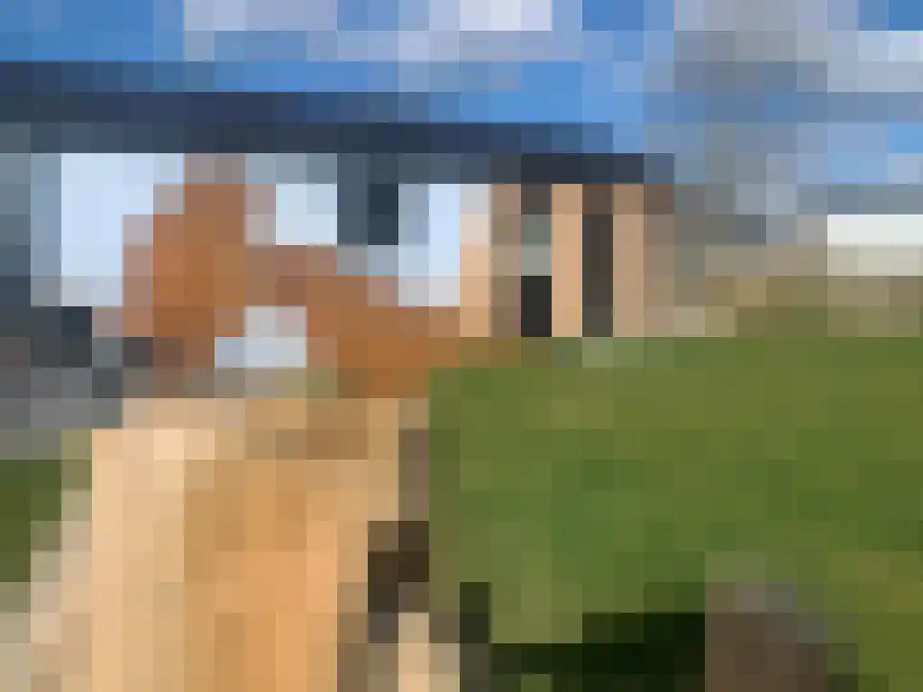 Parkweg 2 V649 Hellevoetsluis thumbnail 14