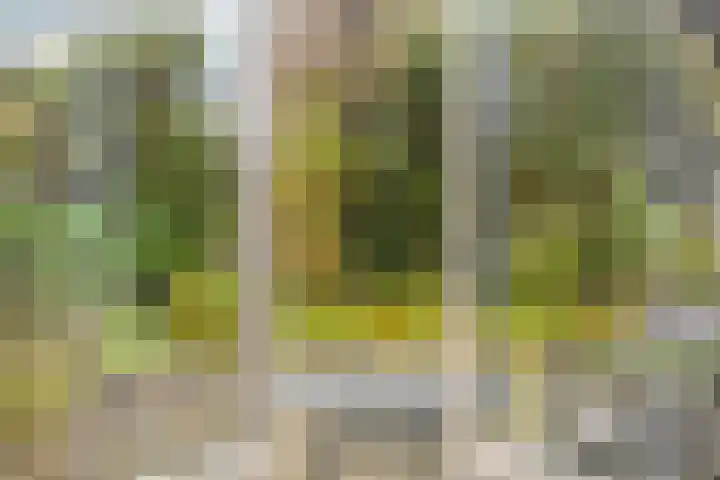 Parkweg 207 Voorburg thumbnail 19