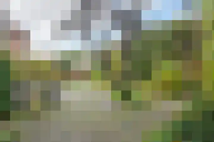 Parkweg 207 Voorburg thumbnail 20