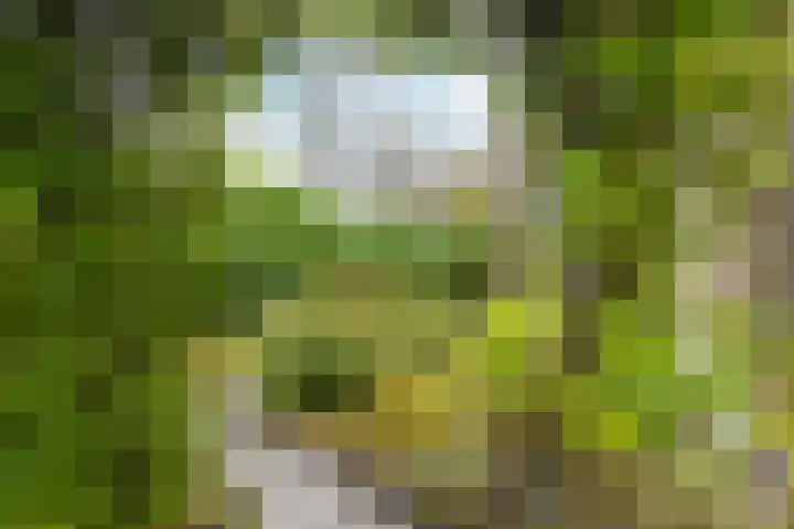 Parkweg 207 Voorburg thumbnail 5