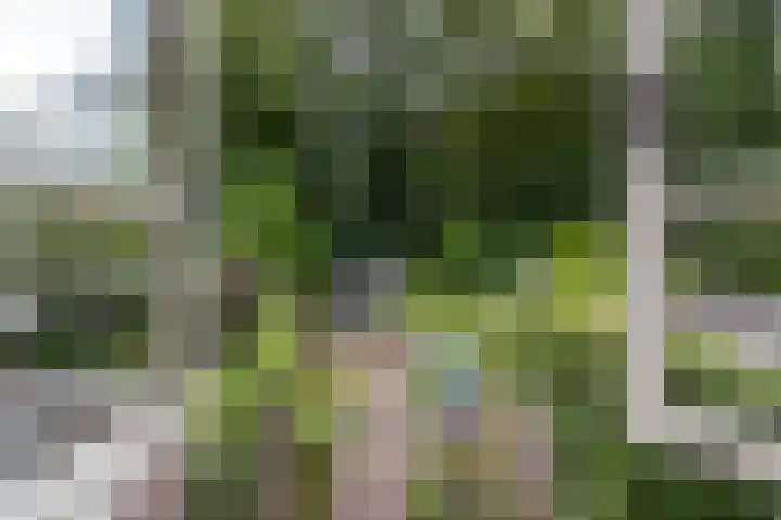 Parkweg 21 Almelo thumbnail 16