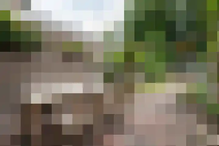 Parkweg 21 Almelo thumbnail 26