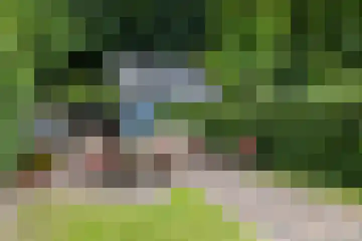 Parkweg 21 Almelo thumbnail 27