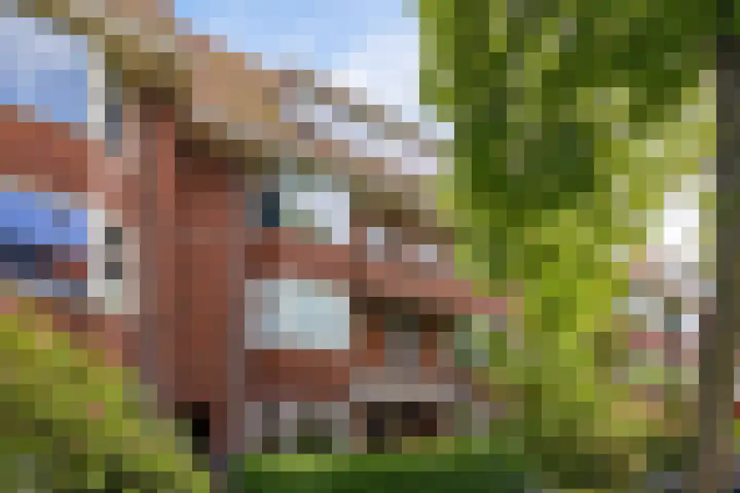 Parkweg 22 a Groningen thumbnail 4