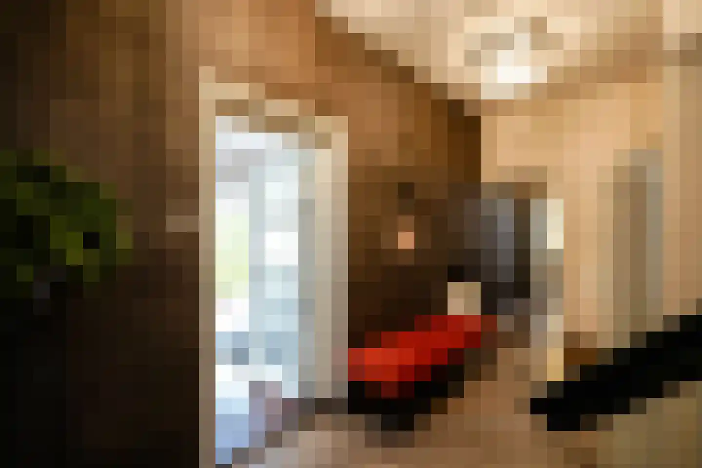 Parkweg 221 Voorburg thumbnail 11
