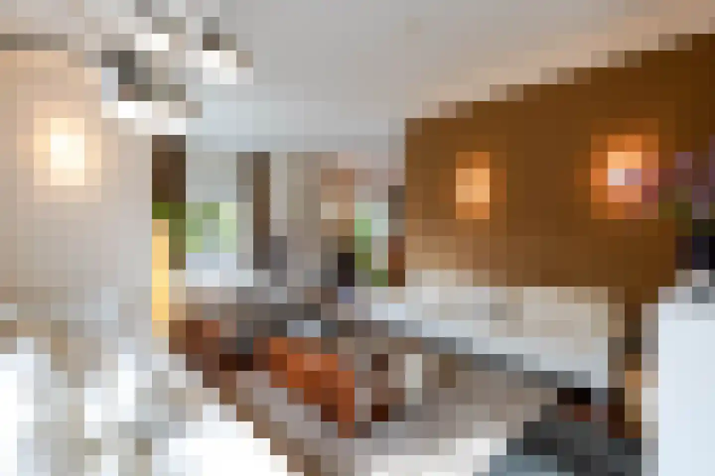 Parkweg 221 Voorburg thumbnail 16