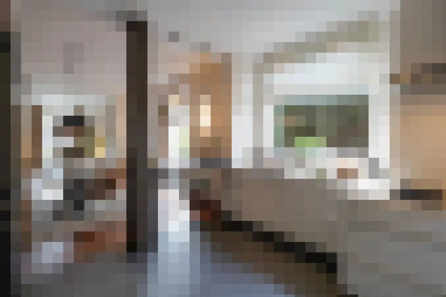 Parkweg 221 Voorburg thumbnail 27