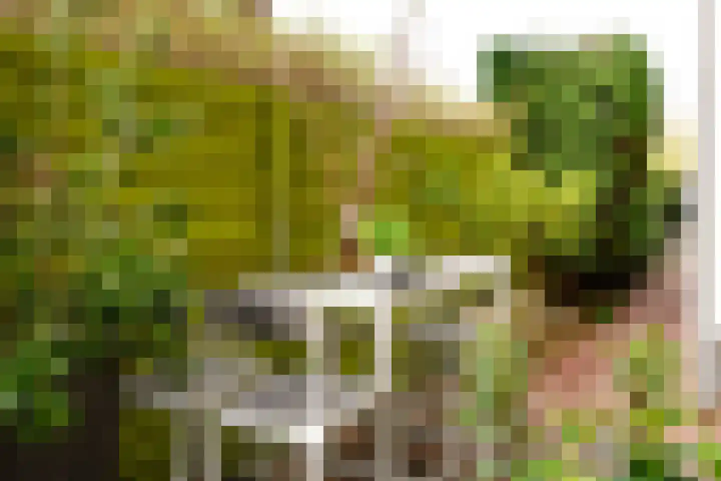 Parkweg 221 Voorburg thumbnail 34