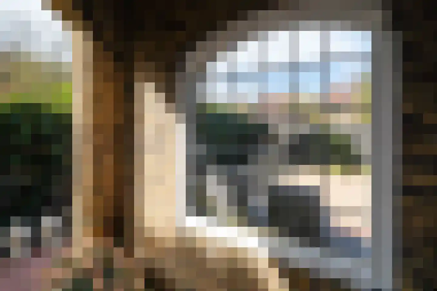 Parkweg 221 Voorburg thumbnail 45