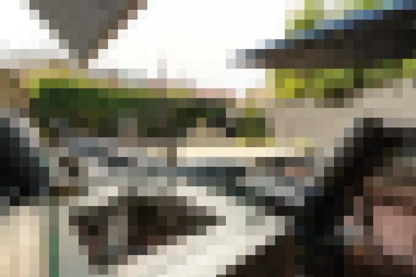 Parkweg 221 Voorburg thumbnail 46