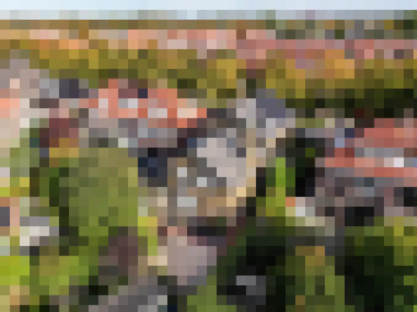 Parkweg 221 Voorburg thumbnail 68