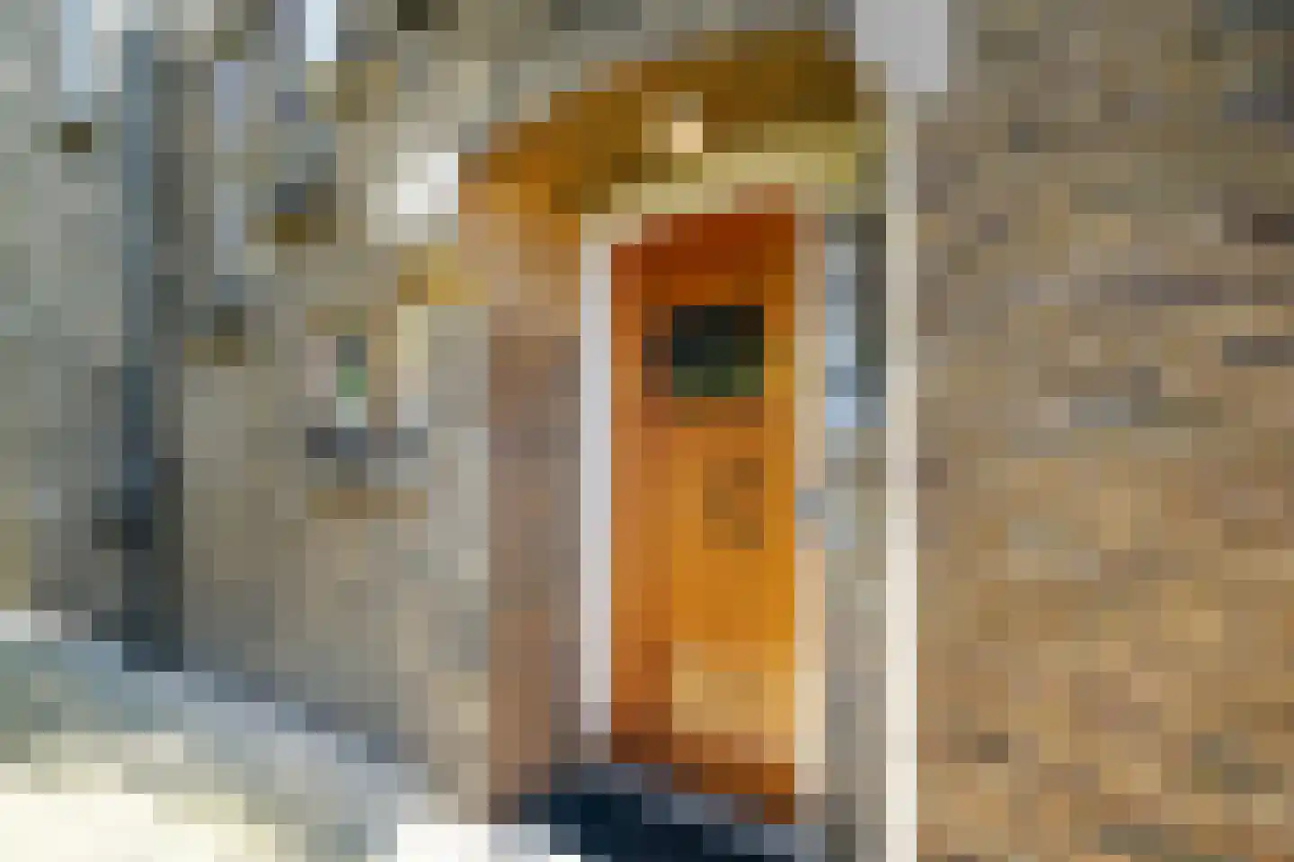 Parkweg 221 Voorburg thumbnail 7