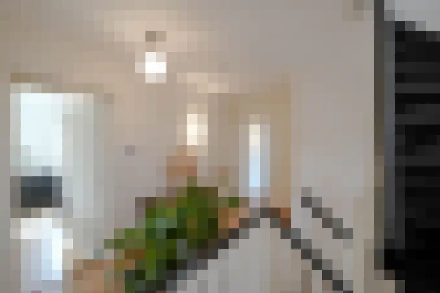 Parkweg 221 Voorburg thumbnail 81