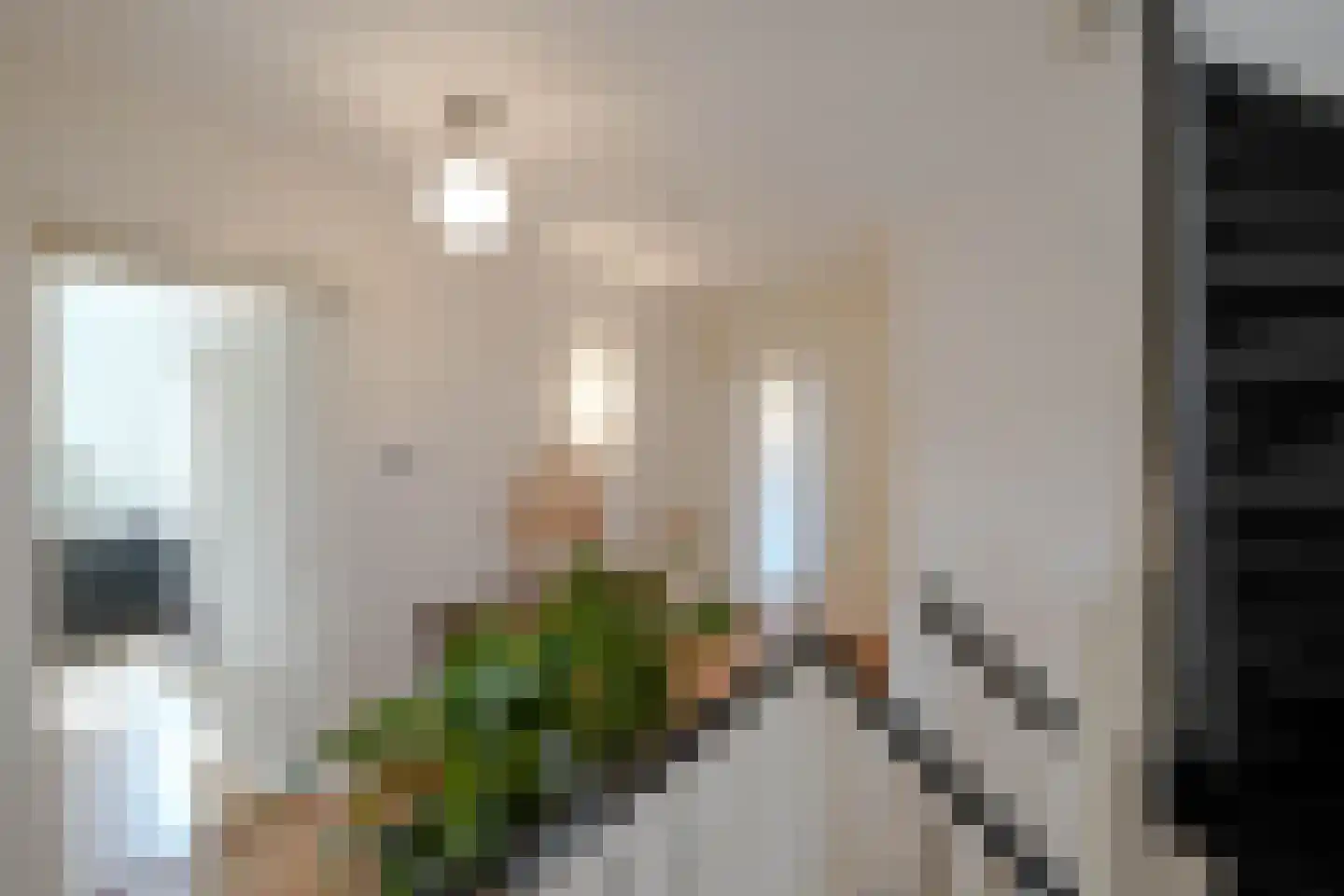 Parkweg 221 Voorburg thumbnail 81