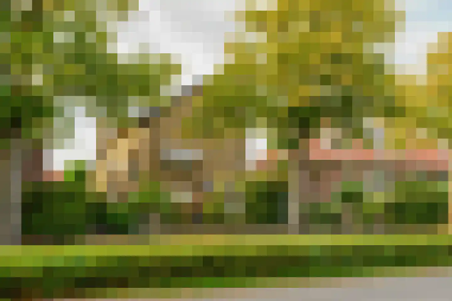 Parkweg 221 Voorburg thumbnail 88