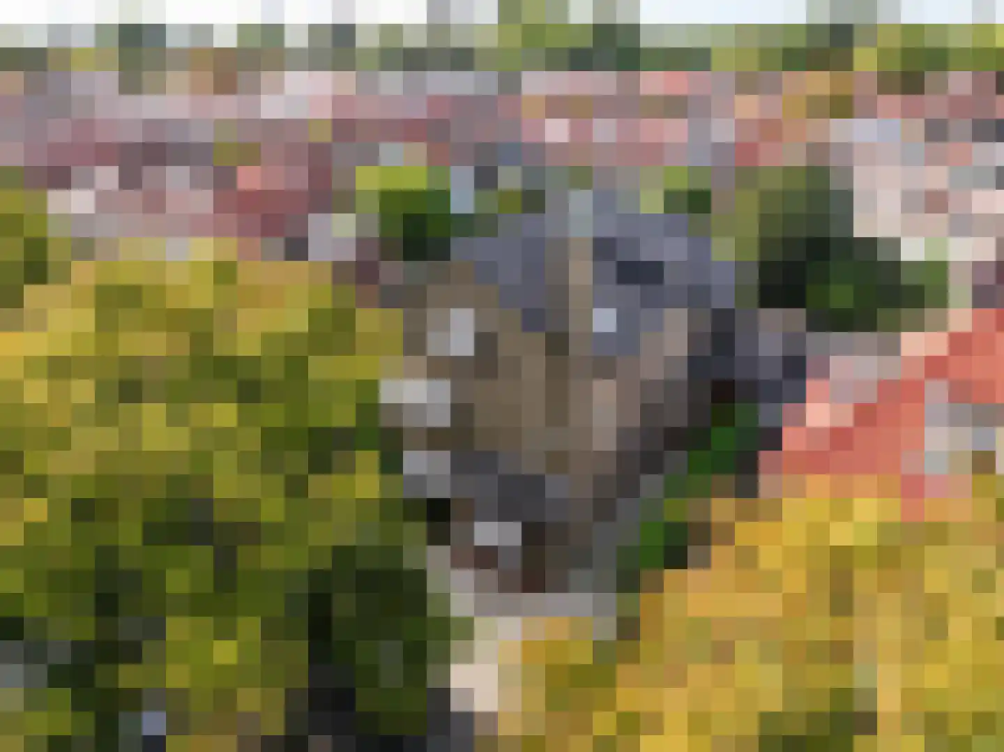 Parkweg 221 Voorburg thumbnail 89