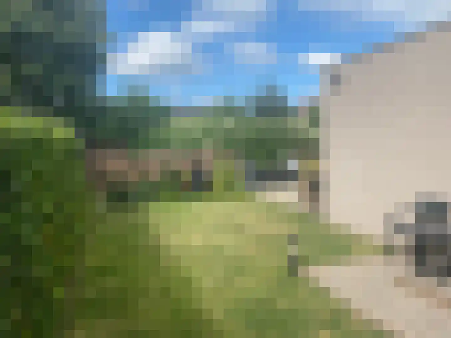 Parkweg 24 Born thumbnail 5