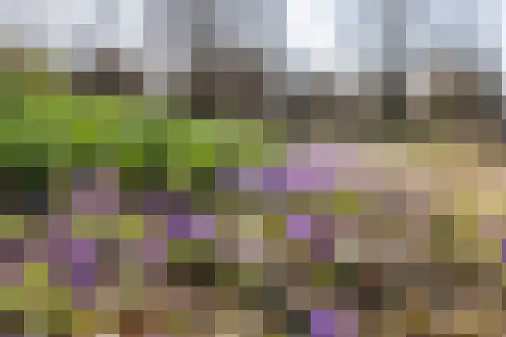 Parkweg 24 Haren Gn thumbnail 27