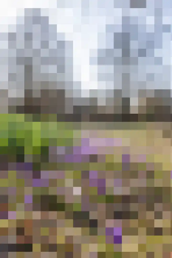 Parkweg 24 Haren Gn thumbnail 28
