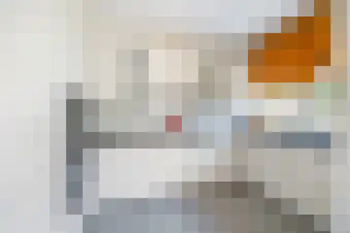 Parkweg 244 Voorburg thumbnail 13