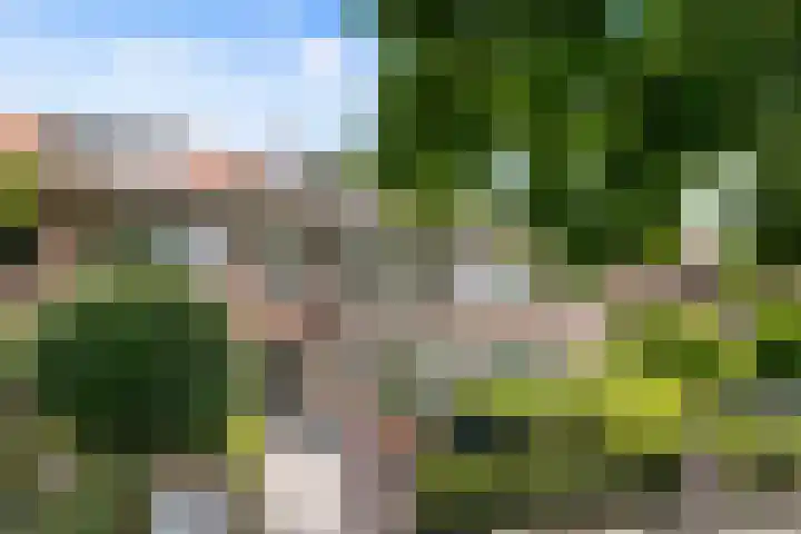 Parkweg 244 Voorburg thumbnail 39
