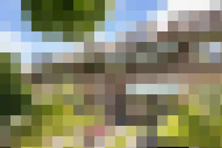 Parkweg 244 Voorburg thumbnail 4
