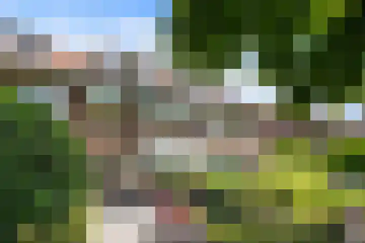 Parkweg 244 Voorburg thumbnail 44