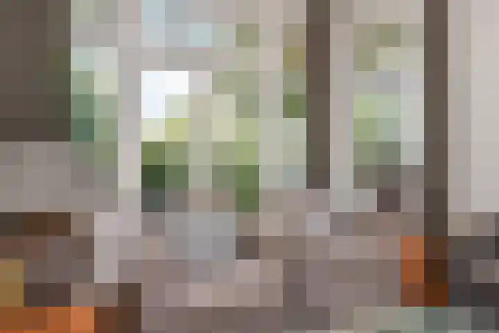 Parkweg 250 Voorburg thumbnail 16